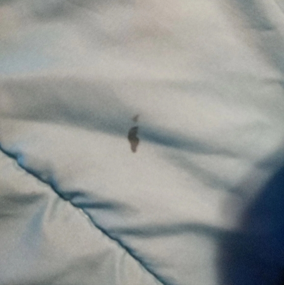 Pj Mask Twin Comforter and Sheet Set - Picture 9 of 10